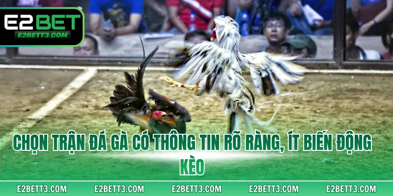 Chọn trận đá gà có thông tin rõ ràng, ít biến động kèo