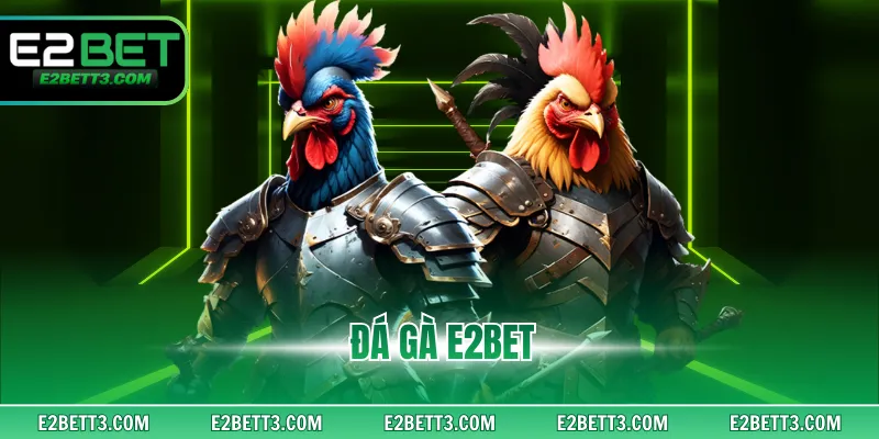 Đá Gà E2bet - Sân Chơi Giải Trí Hàng Đầu Thị Trường Châu Á