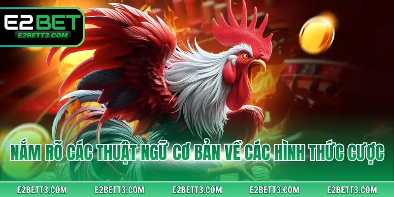 Nắm rõ các thuật ngữ cơ bản về các hình thức cược
