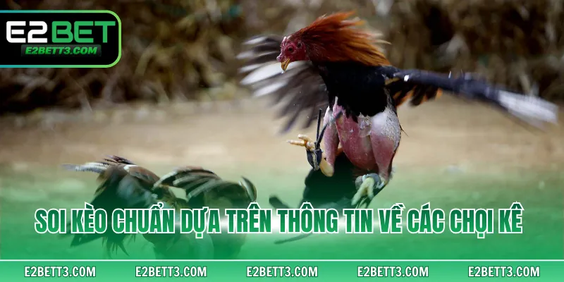 Soi kèo chuẩn dựa trên thông tin về các chọi kê